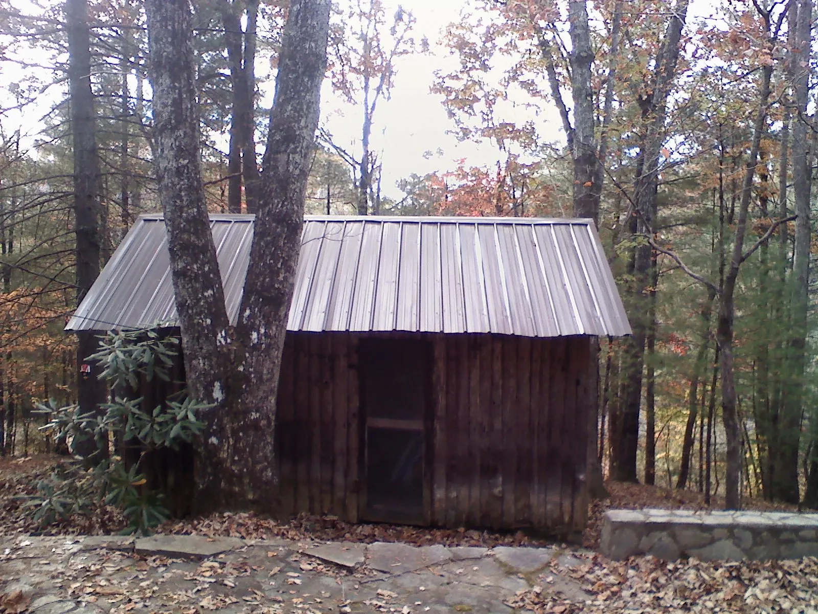 New metal gable roof on a small log shed among the trees in Wharton